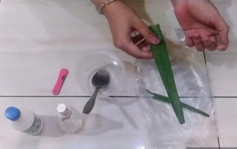 Lawan Pandemi dengan Membuat Hand Sanitizer Alami dari Lidah Buaya 1 IMG_20210812_120435-38157c47