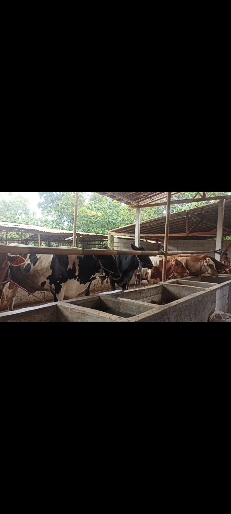 Screenshot 2022 02 21 19 12 53 644 com.miui .gallerymuWnzue