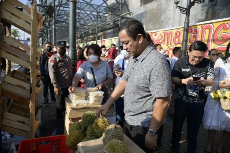 WhatsApp Image 2022 09 13 at 17.19.39