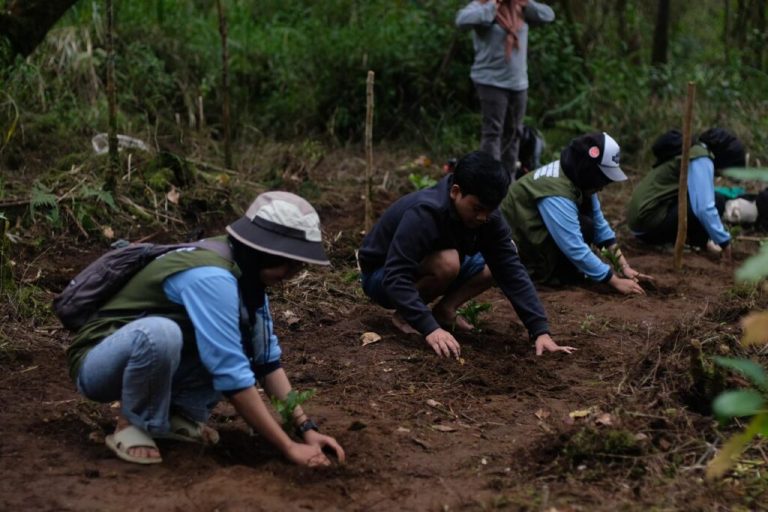 Aksi Hijau Mahasiswa KKN MMK Posko 1 UIN Walisongo di Bukit Siroto Desa Sigedang – UIN Walisongo 5 Aksi Hijau Mahasiswa KKN MMK Posko 1 UIN Walisongo di Bukit Siroto Desa Sigedang – UIN Walisongo