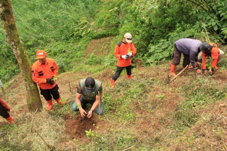KKN MMK Posko 3 Kelurahan Kejajar UIN Walisongo Gelar Aksi Ekologi, Tanam Ratusan Bibit di Curug Sedandang Gunung Setlerep – UIN Walisongo