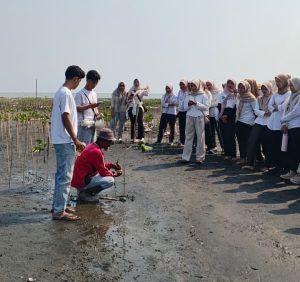 Dies Natalis ke-11, FPK UIN Walisongo Tanam Mangrove Bersama Masyarakat – UIN Walisongo 4 Dies Natalis ke-11, FPK UIN Walisongo Tanam Mangrove Bersama Masyarakat – UIN Walisongo